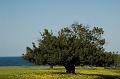 Chypre07 - 2007-03-11_16-17-13